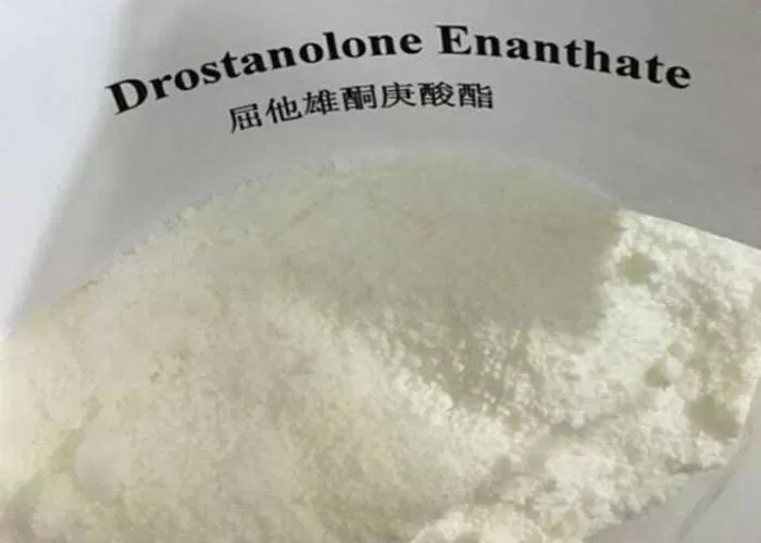 Drostanolone Enanthate CAS 472-61-145 Polvo esteroide de Drolban Masteron de ciclo a granel
