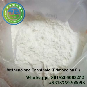 Pharmaceutical Intermediate Methenolone Enanthate / Primobolan Raw Hormone Powder CAS 303-42-4
