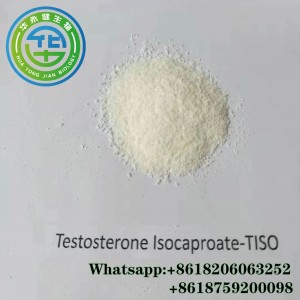 Test I Steroid Hormone Testosterone Isocaproate For Bodybuilding Test Isocaproate Hormone Powder CAS 15262-86-9