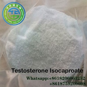 98% Purity Testosterone Isocaproate/Testosterone Iso Steroid Homone powder For Muscle Building And Cutting Cycle