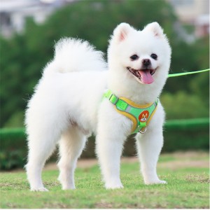 No -Pull Dog Harness with Leash Set
