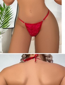 Tweedelige lingerie Dameslingerie Sexy met kanten bh en panty Set Push-up lingerie