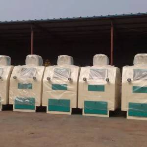 Competitive Price for Hand Operated Traditional Flour Mill - 100T/D Maize Mill Machine – Tehold