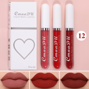 Personalitza l'etiqueta privada 18 colors Matte Liquid Lipstick 3pcs Set 3ZZCC