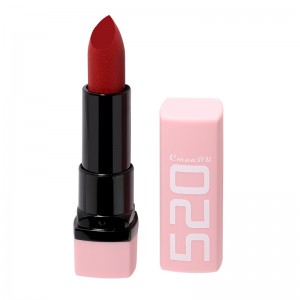 Private Label Makeup Cream 5 Colours Matte Lipstick 5SKH