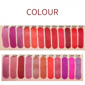 ලාංඡනය නැත Makeup Lip Gloss Private Label Lipstick with Logo Liquid Lipstick cosmetics- AL-644337534074