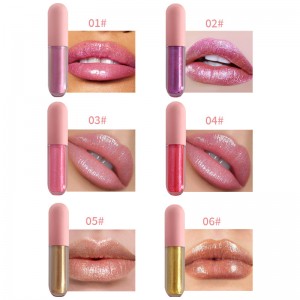 Vendita all'ingrosso No Logo 6-color Lip Gloss Lipstick Set Matte Nourishing Moisturizing Durable Lip Gloss Waterproof Cosmetic-CY-W6-001