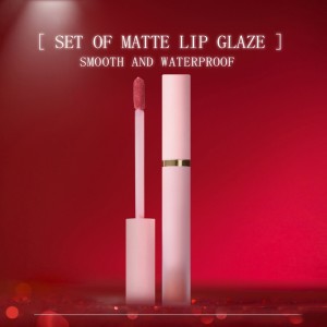 Wholesale Waterproof Smooth Matte Lipgloss Kit Lipgloss Liquid Lipstick 6 Colours Lip Set Private Label-CY-WLS-001