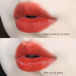 Flüssiges transparentes Glanz-Lippenöl feuchtigkeitsspendende farblose Fruchtlippe für Frauen Nette Lippentönung DYS01