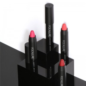 Long Lasting Original Factory Display High Quality Matte Liquid Lipstick Pencil Na May Murang Presyo-FA22