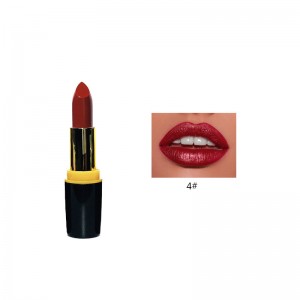 Natural na Custom na Logo Matte Waterproof Make Up Lip Stick Private Label Lipstick