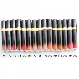New neutral 15 color non-stick cup matte liquid lipstick toot lip gloss lip glaze without LOGO lip glaze —— HSY2237
