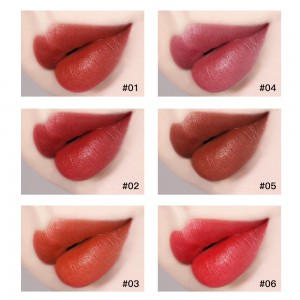OEM / ODM Lipstik Kualitas Tinggi Matte Lipstik Vegan Lipstik L8