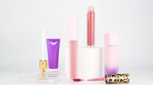 Birûska lêvê ya bi kalîteya bilind qebûl Logoya Xweserî Cosmetic Waterproof Liquid Lip Gloss-LS01