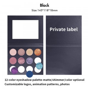 160 χρώματα ματ γυαλιστερό χωρίς ασορτί παλέτα σκιών ματιών 12 χρωμάτων-MSEDZ12