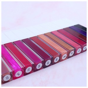 15 Farben imprägniern Mattlippenstift-Pigment-dunkelrotes schwarzes langlebiges Lipgloss-Frauen-Verfassungs-Lipgloss-MSL15046Z