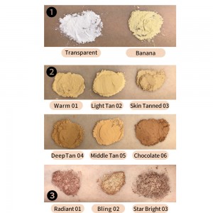 11-farve neutral no LOGO air makeup pudder løs pudder pudder tredimensionel højglans reparationspulver——MY08