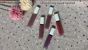 Lip Gloss Unisex Tanpa Logo Lip Gloss Lip Gloss 27 Warna Non-stick Cup Matte Lip Gloss——MY11