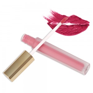 Lip Gloss Unisex Tanpa Logo Lip Gloss Lip Gloss 27 Warna Non-stick Cup Matte Lip Gloss——MY11