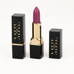 Lipstik riasan netral bebas LOGO lipstik multicolor beludru matte lipstik tabung persegi——P189