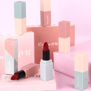 Velvet Lipstick Non-stick Cup Waterproof Langdurige Matte Lipstick Lip Makeup PSKH-NC