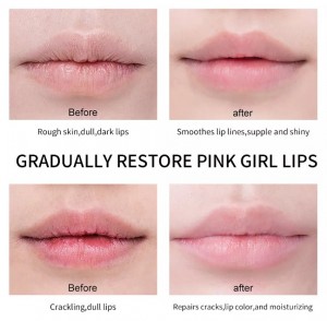 Coffret cadeau de baume à lèvres rose aux fruits et hydratant pour la réparation des lèvres bio