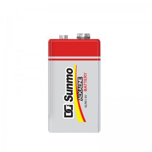 Batteria alcalina DG Sunmo 6LR61 9V di alta qualità