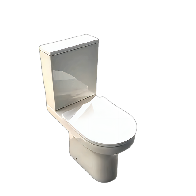 ყალიბის დარღვევა: რატომ არის კერამიკული ტუალეტები აბაზანის დიზაინის მომავალი