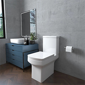 Η διαφορά μεταξύ μιας συνδεδεμένης τουαλέτας και μιας χωριστής τουαλέτας: είναι καλύτερη μια χωριστή τουαλέτα ή καλύτερη μια συνδεδεμένη τουαλέτα