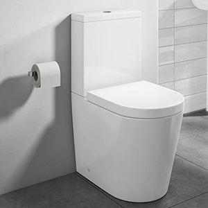 A evolução e as vantagens dos banheiros com sanitários