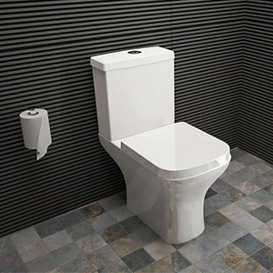 Дали го избравте вистинскиот за директно испирање на тоалетот и анализата на тоалетот со сифон!