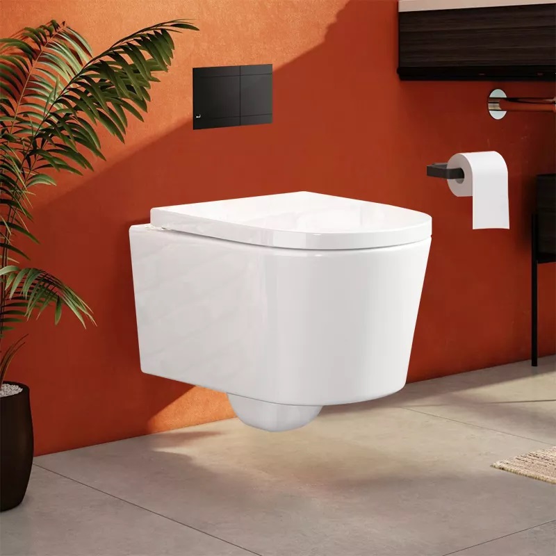 Böyük Britaniyanın yeni dizaynı divara asılmış tualet