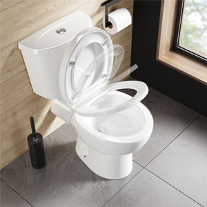 I dag installerer smarte mennesker ikke længere toiletter i deres hjem.På denne måde fordobles pladsen med det samme