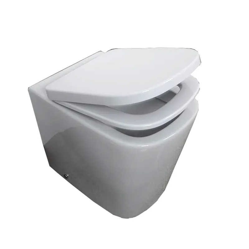 Vrući proizvodi natrag na zidni WC p sip kupaonski WC WC jednodijelni WC