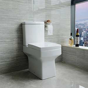 Flush tualetes poda specifikācija un izmērs