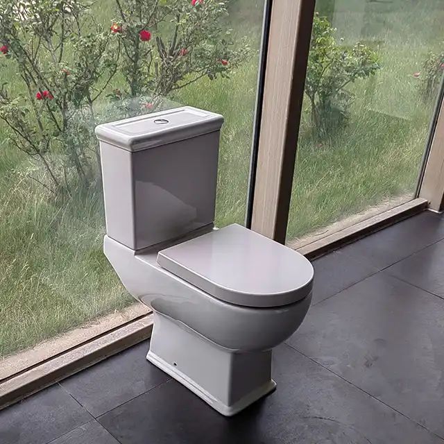 Razbijanje kalupa: inovativni dizajni u modernoj tehnologiji toaleta