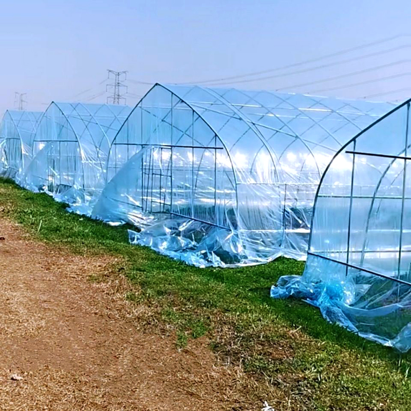 How to choose the appropriate greenhouse film?
