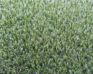 Lambun Lawn Grass Amfani da Babban Ingantacciyar Fiber Grass