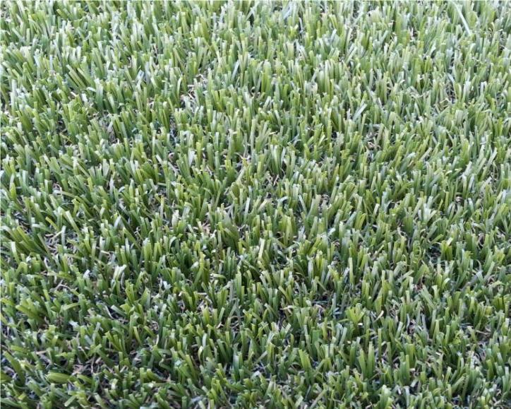 Градинска тревна площ с помощта на суперкачествени изкуствени тревни влакна Представено изображение