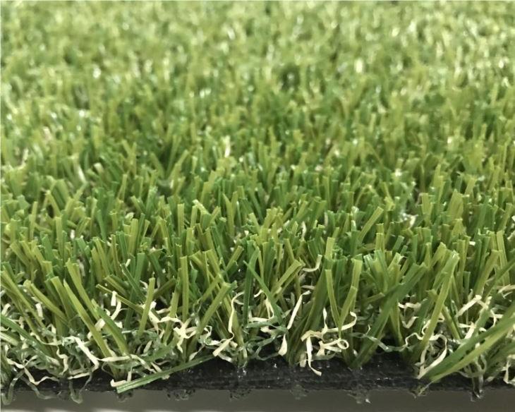 Икономична и здрава голф фарватерна трева Представено изображение