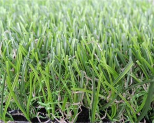 Visokokakovostna večnamenska groba trava za golf