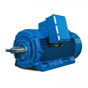 Y3 Series Low Voltage and High Power Three-Phase Induction Motor