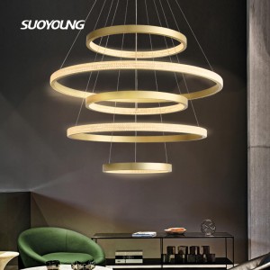 Modern Led Chandelier Rings aerea Pendant Lux Adjustable Pendens Ceiling Lux Fixture Contemporary Flush Mount Chandelier for Living Room Staircase Foyer
