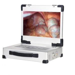 HD 320 15,6 dyuymli monitor bilan uchtasi bitta endoskopli kamera tizimi