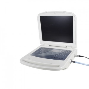Professionelt medicinsk udstyr: 3-i-1 endoskop til at imødekomme forskellige medicinske undersøgelsesbehov (plastikhylster)