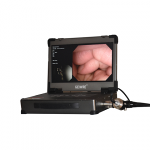 Medical electronic portable gastroenteroscopy