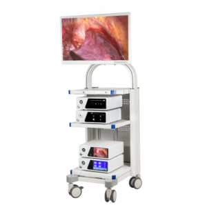 Endoscopia médica 4K HD960