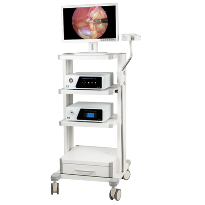 Sistemi i kamerës së endoskopit HD