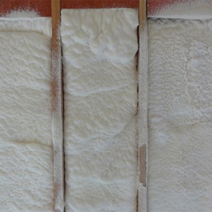 SWD1006 striekaná polyuretánová pena s nízkou hustotou vyrobená v USA z materiálov na tepelnú a zvukovú izoláciu budov z dreva