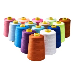 Zafafan Siyarwar China 40s/2 Spun Polyester Sewing Thread tare da Launuka Daban-daban
